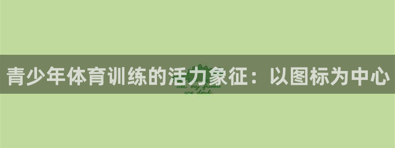 V站体育入口官网：青少年体育训练的活力象征：以图标为中心