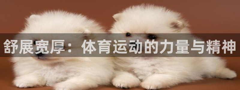 v站体育下载：舒展宽厚：体育运动的力量与精神