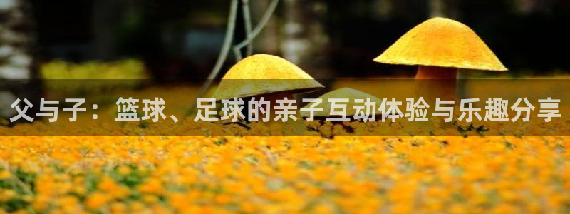 v站体育官网app：父与子：篮球、足球的亲子互动体验与乐趣分享