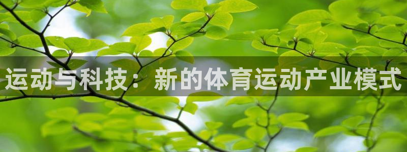 v站体育官网登录：运动与科技：新的体育运动产业模式
