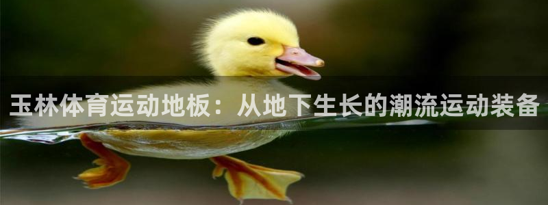 v站体育比分：玉林体育运动地板：从地下生长的潮流运动装备