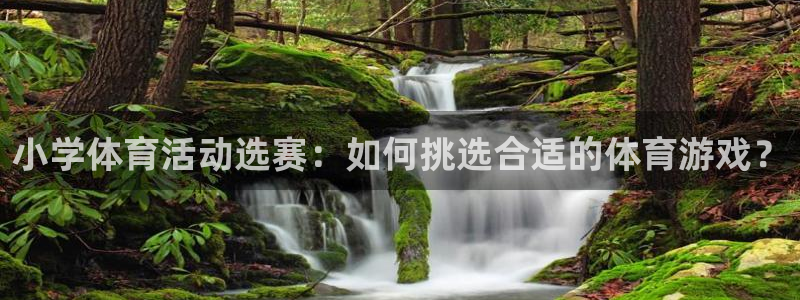 v站体育官网app下载：小学体育活动选赛：如何挑选合适的体育游戏？